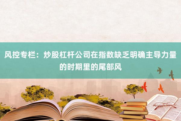 风控专栏：炒股杠杆公司在指数缺乏明确主导力量的时期里的尾部风