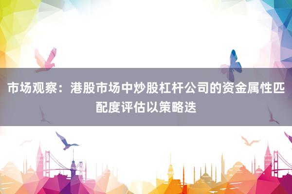 市场观察：港股市场中炒股杠杆公司的资金属性匹配度评估以策略迭