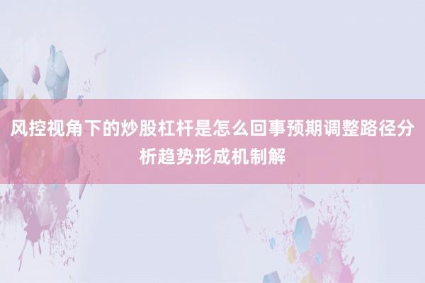 风控视角下的炒股杠杆是怎么回事预期调整路径分析趋势形成机制解