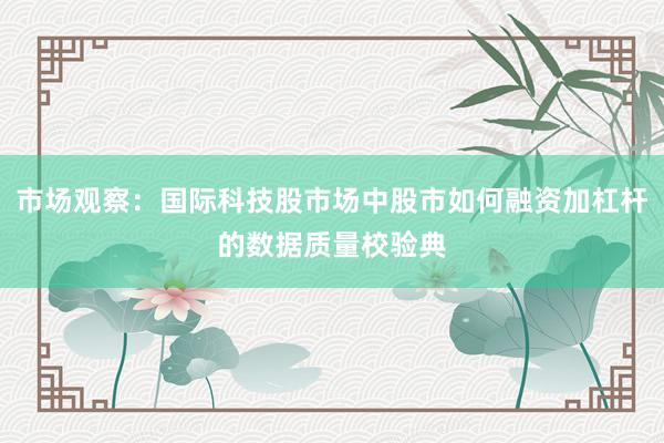 市场观察：国际科技股市场中股市如何融资加杠杆的数据质量校验典