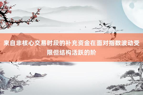 来自非核心交易时段的补充资金在面对指数波动受限但结构活跃的阶