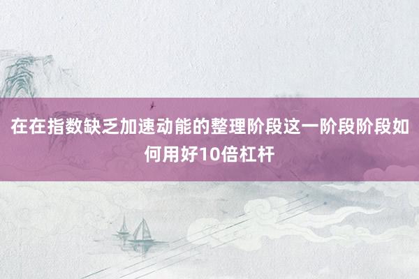 在在指数缺乏加速动能的整理阶段这一阶段阶段如何用好10倍杠杆