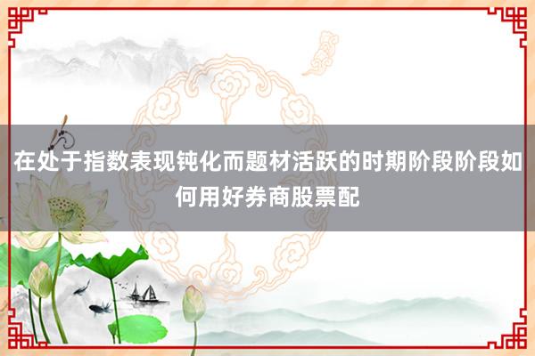 在处于指数表现钝化而题材活跃的时期阶段阶段如何用好券商股票配