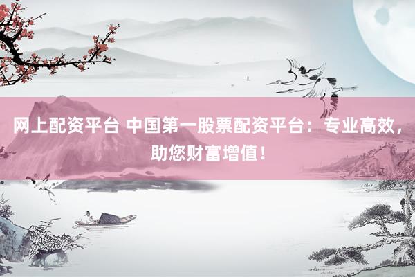 网上配资平台 中国第一股票配资平台：专业高效，助您财富增值！