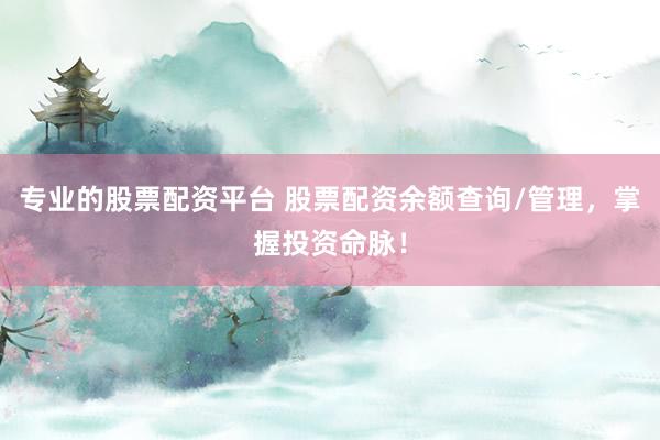 专业的股票配资平台 股票配资余额查询/管理，掌握投资命脉！