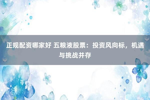 正规配资哪家好 五粮液股票：投资风向标，机遇与挑战并存