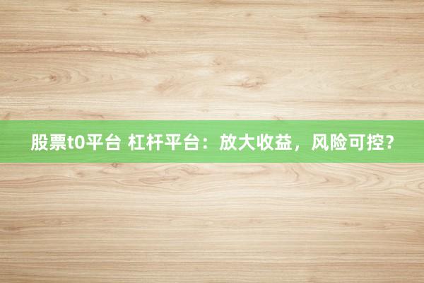 股票t0平台 杠杆平台：放大收益，风险可控？