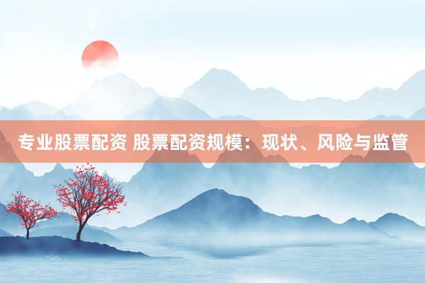专业股票配资 股票配资规模：现状、风险与监管